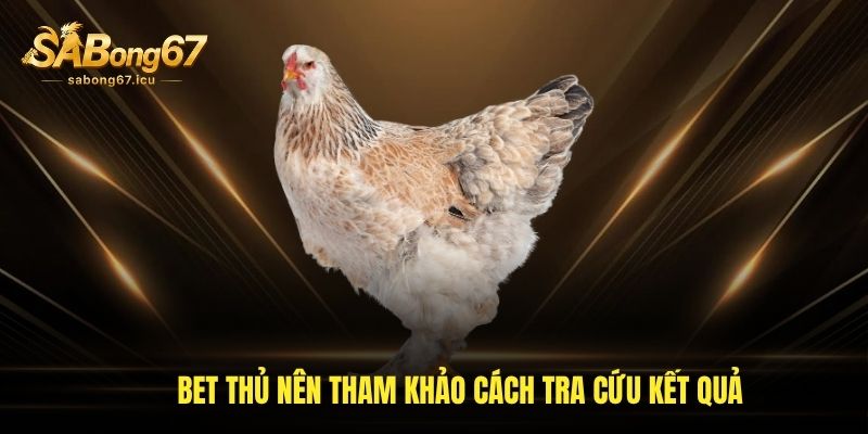 Bet thủ nên tham khảo cách tra cứu kết quả Bet thủ nên tham khảo cách tra cứu kết quả