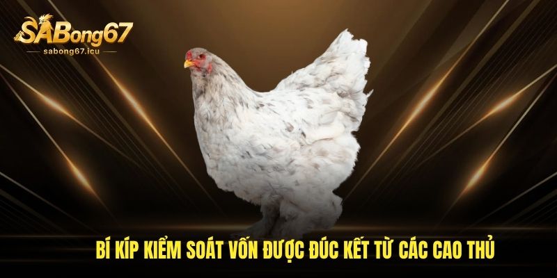 Bí kíp kiểm soát vốn được đúc kết từ các cao thủ Bí kíp kiểm soát vốn được đúc kết từ các cao thủ