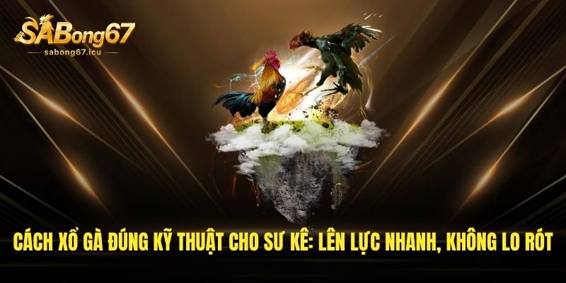 Cách Xổ Gà Đúng Kỹ Thuật Cho Sư Kê: Lên Lực Nhanh, Không Lo Rót 1 cach xo ga dung ky thuat cho su ke len luc nhanh khong lo rot