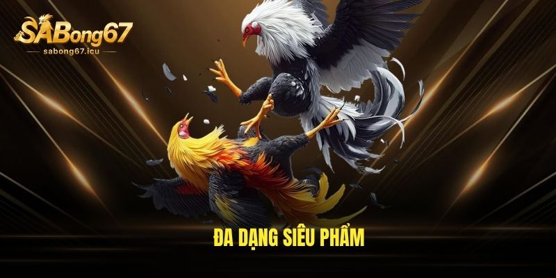 Đa dạng siêu phẩm Đa dạng siêu phẩm
