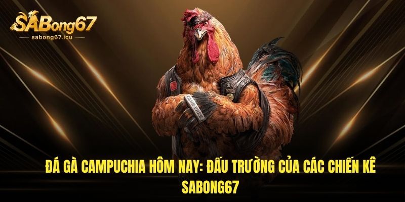 Đá Gà Campuchia Hôm Nay: Đấu Trường Của Các Chiến Kê Sabong67 1 da ga campuchia hom nay dau truong cua cac chien ke sabong67 1