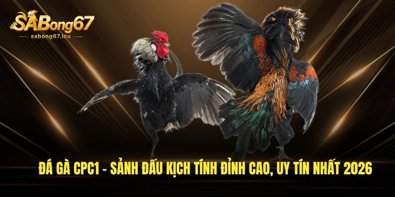 da ga cpc1 sanh dau kich tinh dinh cao uy tin nhat 2026