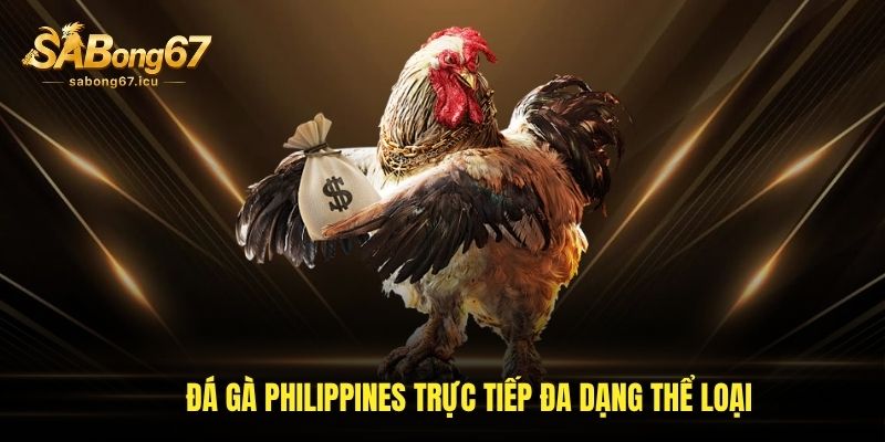 Đá gà Philippines trực tiếp đa dạng thể loại Đá gà Philippines trực tiếp đa dạng thể loại