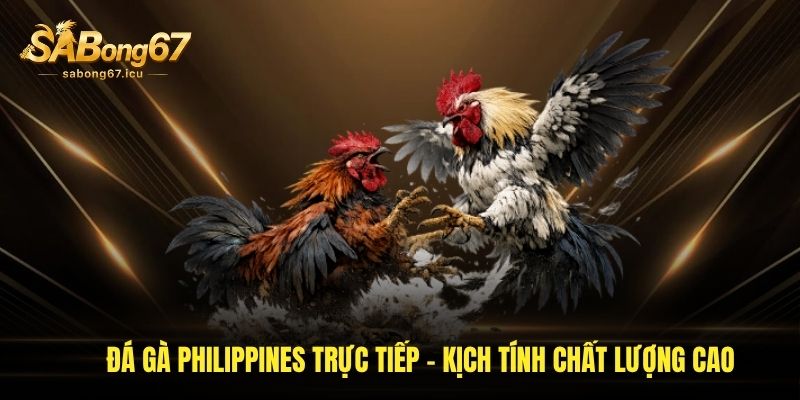 Đá Gà Philippines Trực Tiếp - Kịch Tính Chất Lượng Cao 1 da ga philippines truc tiep kich tinh chat luong cao