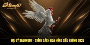 dai ly sabong67 chinh sach hoa hong sieu khung 2026