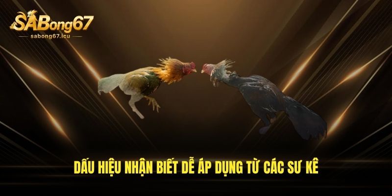 Dấu hiệu nhận biết dễ áp dụng từ các sư kê Dấu hiệu nhận biết dễ áp dụng từ các sư kê