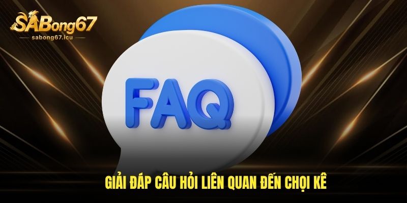 Giải đáp câu hỏi liên quan đến chọi kê Giải đáp câu hỏi liên quan đến chọi kê