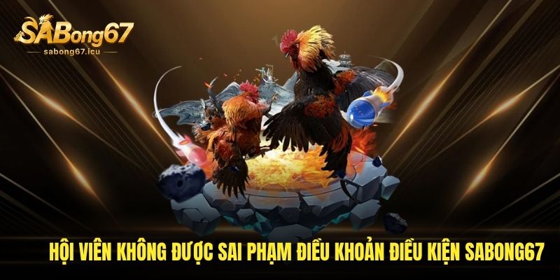 Hội viên không được sai phạm điều khoản điều kiện sabong67