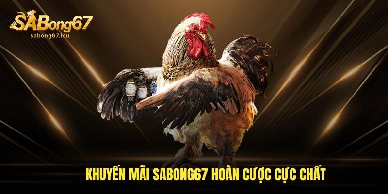 Khuyến mãi Sabong67 hoàn cược cực chất Khuyến mãi Sabong67 hoàn cược cực chất