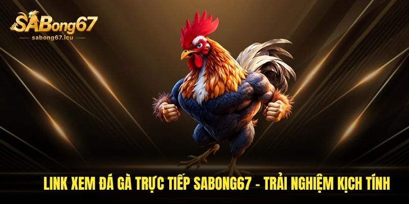 Link Xem Đá Gà Trực Tiếp Sabong67 - Trải Nghiệm Kịch Tính 1 link xem da ga truc tiep sabong67 trai nghiem kich tinh