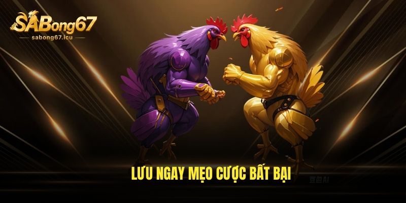 Lưu ngay mẹo cược bất bại