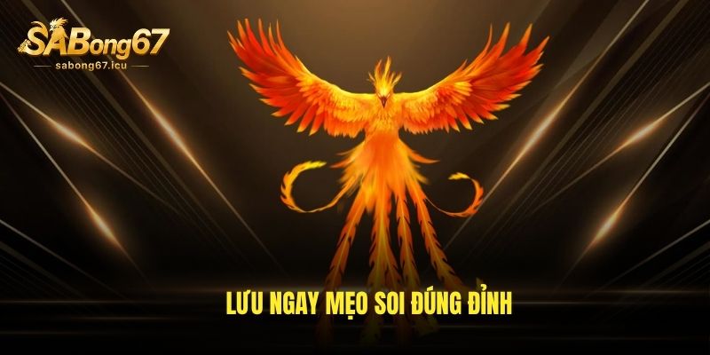 Lưu ngay mẹo soi đúng đỉnh Lưu ngay mẹo soi đúng đỉnh