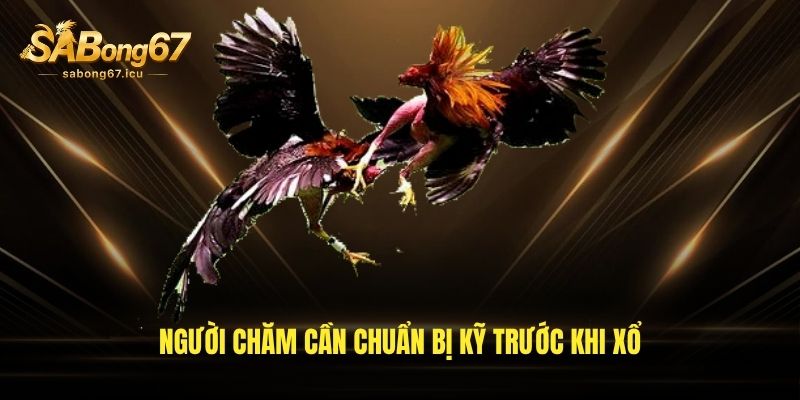 Người chăm cần chuẩn bị kỹ trước khi xổ Người chăm cần chuẩn bị kỹ trước khi xổ