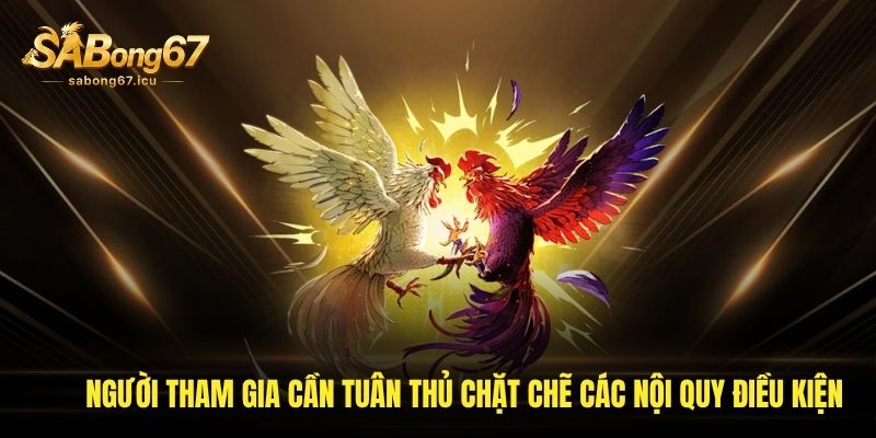 Người tham gia cần tuân thủ chặt chẽ các nội quy điều kiện Người tham gia cần tuân thủ chặt chẽ các nội quy điều kiện