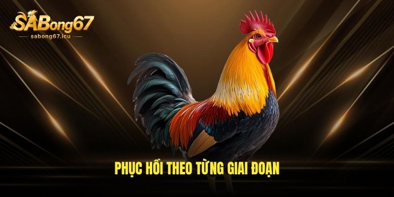 Phục hồi theo từng giai đoạn Phục hồi theo từng giai đoạn