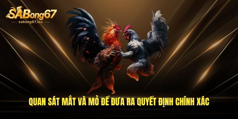 Quan sát mắt và mỏ để đưa ra quyết định chính xác Quan sát mắt và mỏ để đưa ra quyết định chính xác
