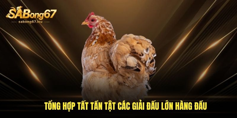 Tổng hợp tất tần tật các giải đấu lớn hàng đầu Tổng hợp tất tần tật các giải đấu lớn hàng đầu