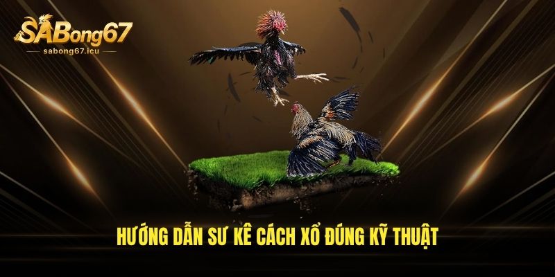 Vài điểm thường gặp khi áp dụng cách xổ gà chọi Vài điểm thường gặp khi áp dụng cách xổ gà chọi