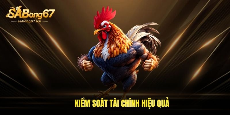Kiểm soát tài chính hiệu quả