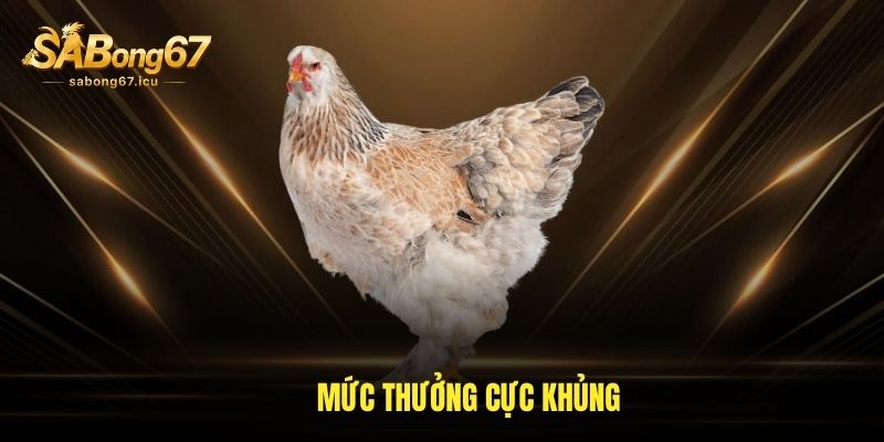 Mức thưởng cực khủng