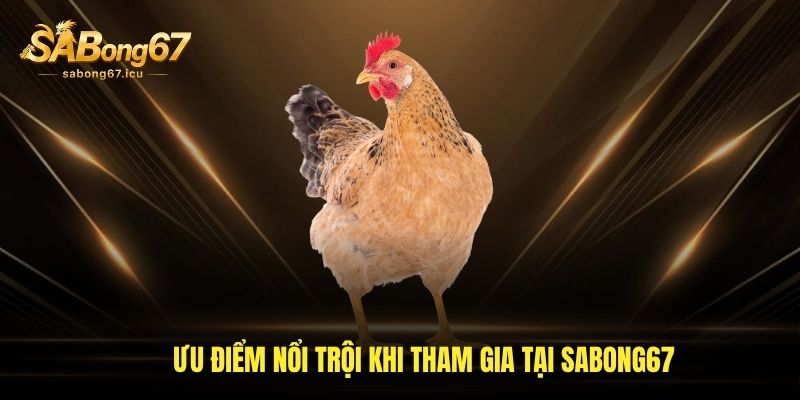 Ưu điểm nổi trội khi tham gia tại sabong67